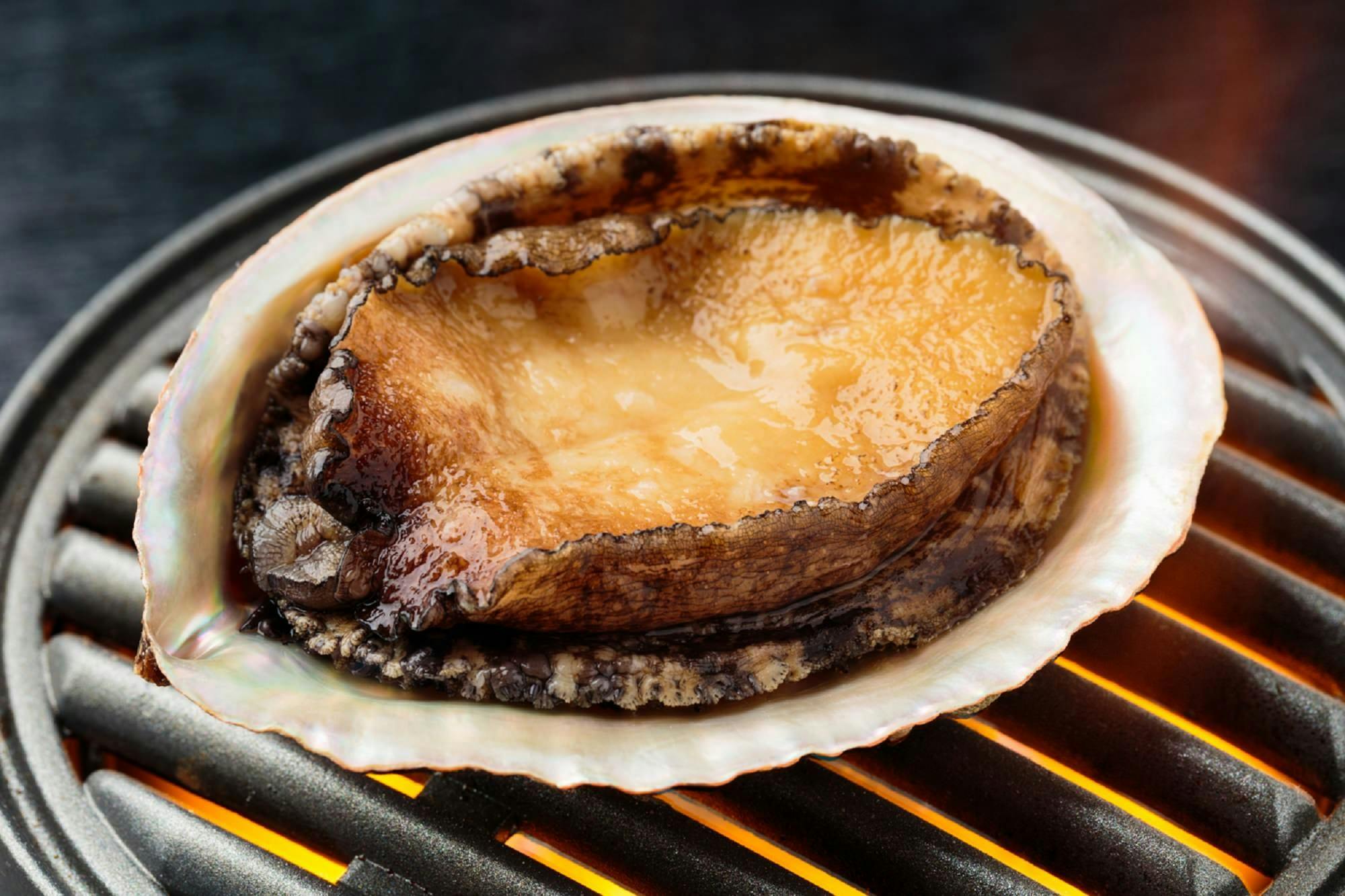 【ワンランク上の磯あそび】目の前で焼き上げるお料理に「壱岐牛」か「あわび」を追加するチョイスプラン