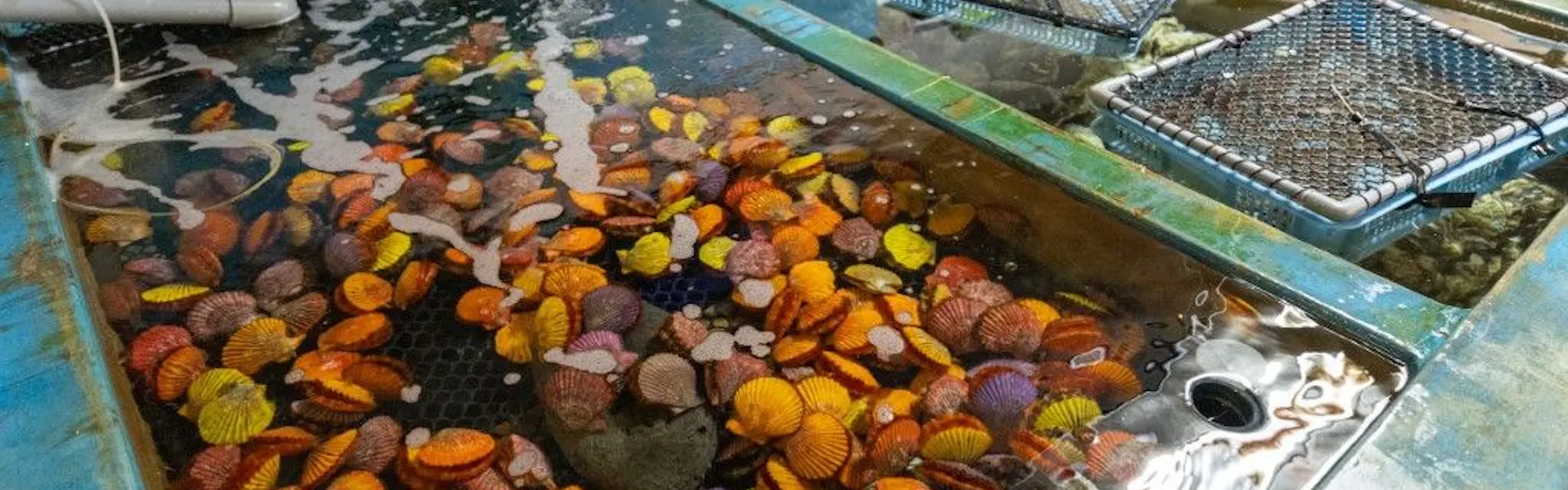 ビューホテル壱岐