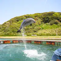 【壱岐イルカパーク&リゾート】