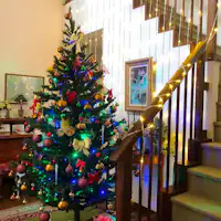 Natal yang tenang untuk orang dewasa