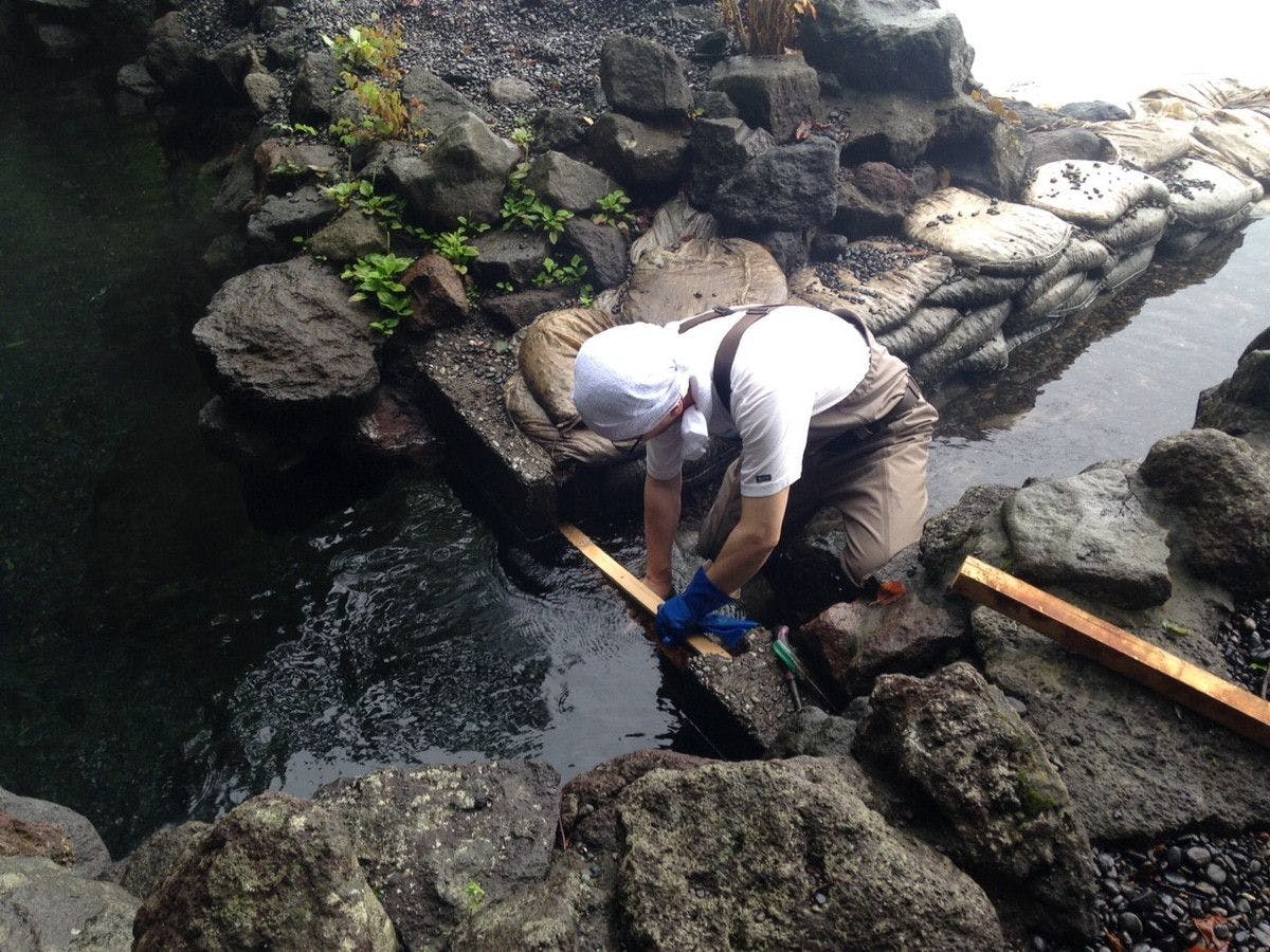 奥札幌の秘湯　湖畔の宿支笏湖　丸駒温泉旅館