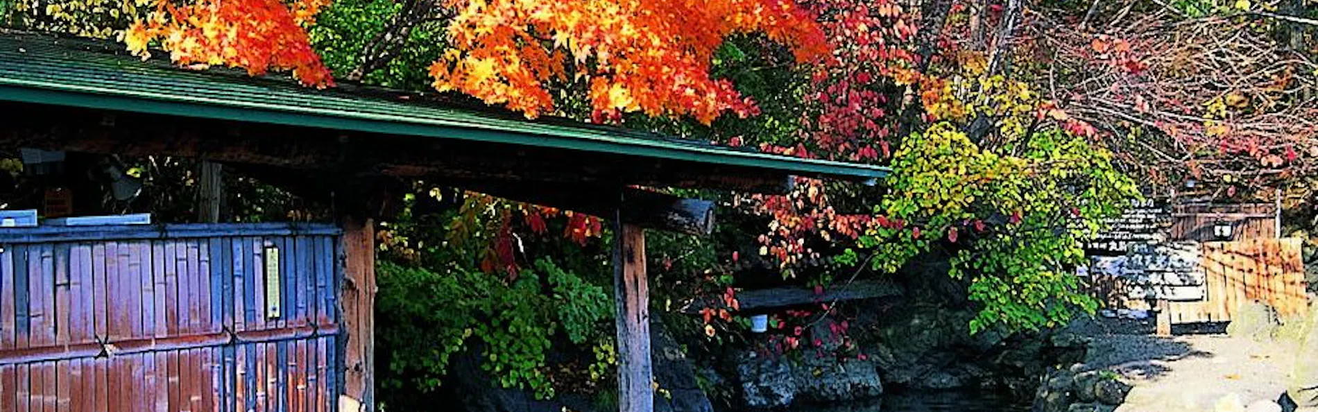 奥札幌の秘湯 湖畔の宿支笏湖 丸駒温泉旅館