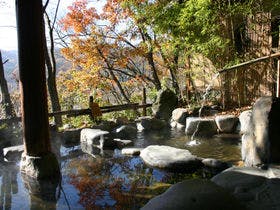 島崎藤村ゆかりの宿 中棚荘 1枚目