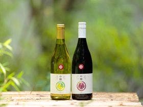 島崎藤村ゆかりの宿 中棚荘