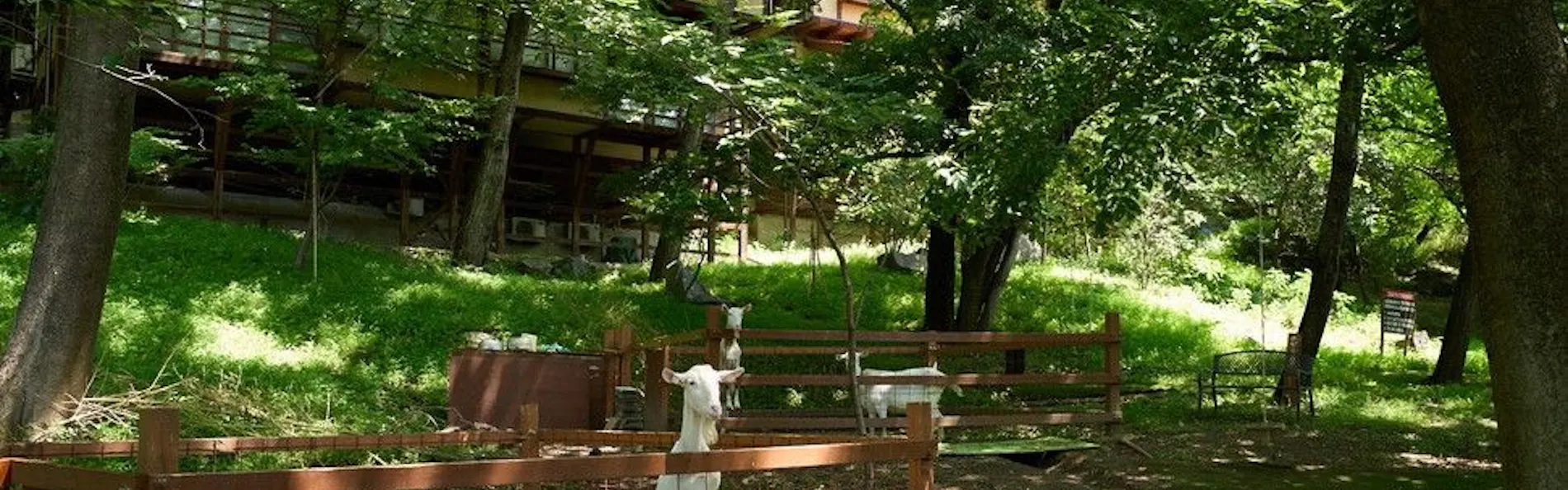 島崎藤村ゆかりの宿 中棚荘