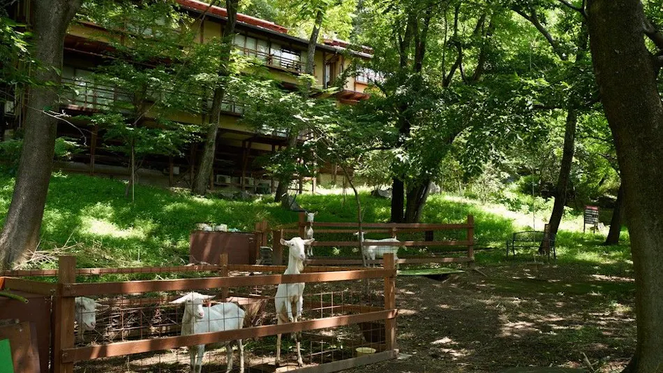 Nakadana Inn, Associated with Shimazaki Toson
