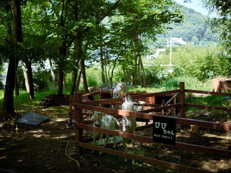 島崎藤村ゆかりの宿　中棚荘