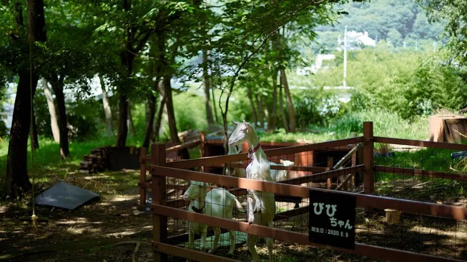 Nakadana Inn, Associated with Shimazaki Toson