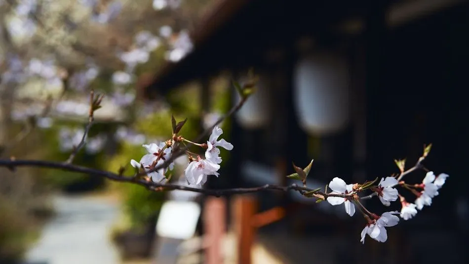 Nakadana Inn, Associated with Shimazaki Toson