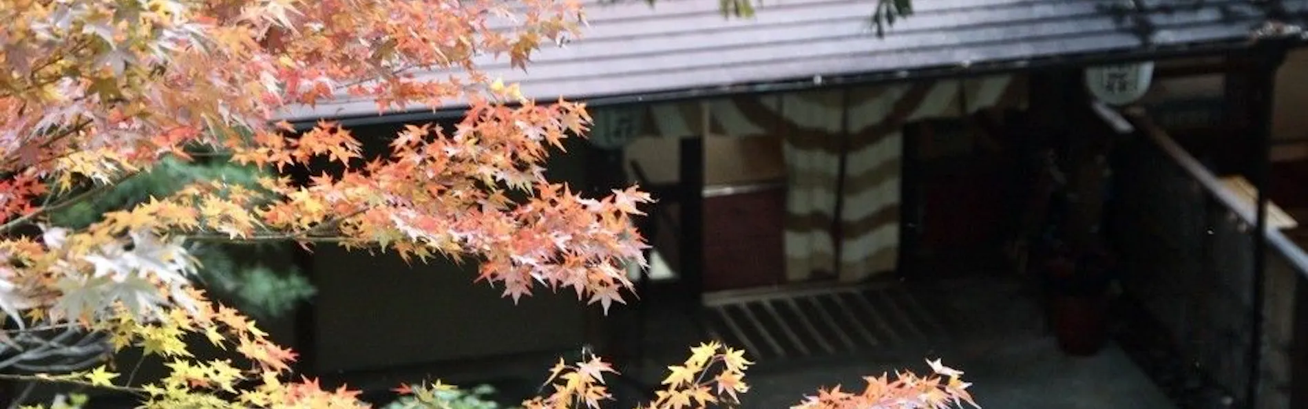 島崎藤村ゆかりの宿 中棚荘