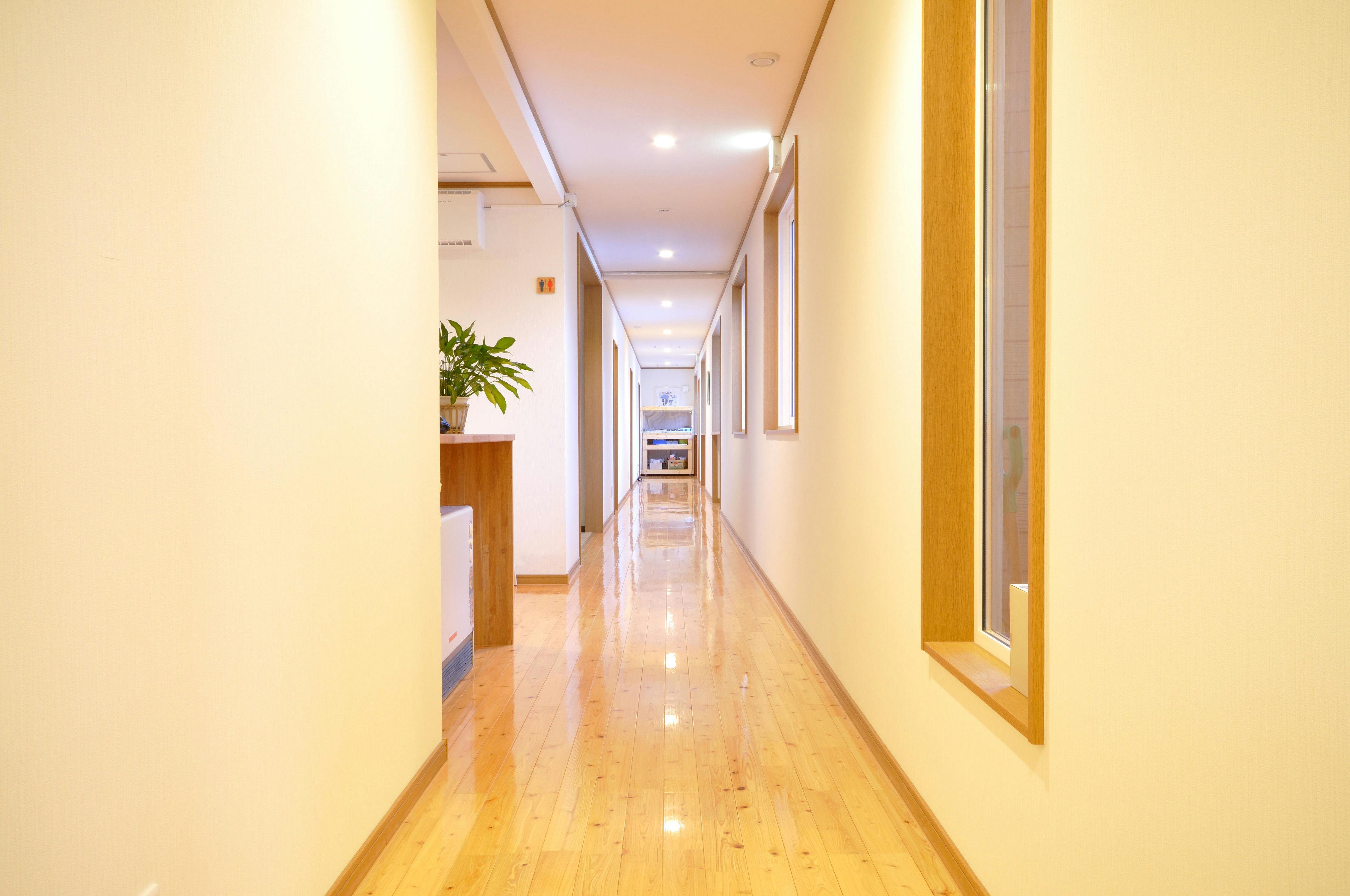 木のぬくもりが感じられる廊下。