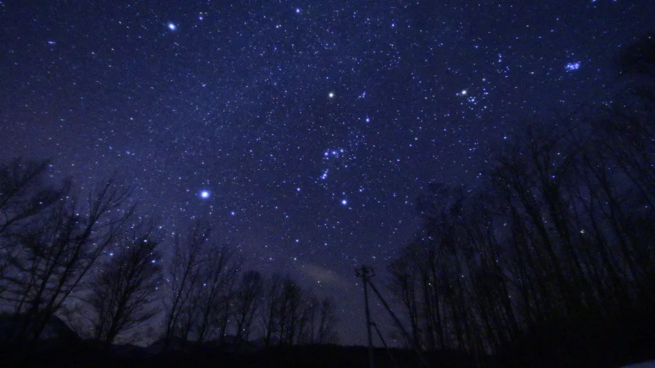 Polaris