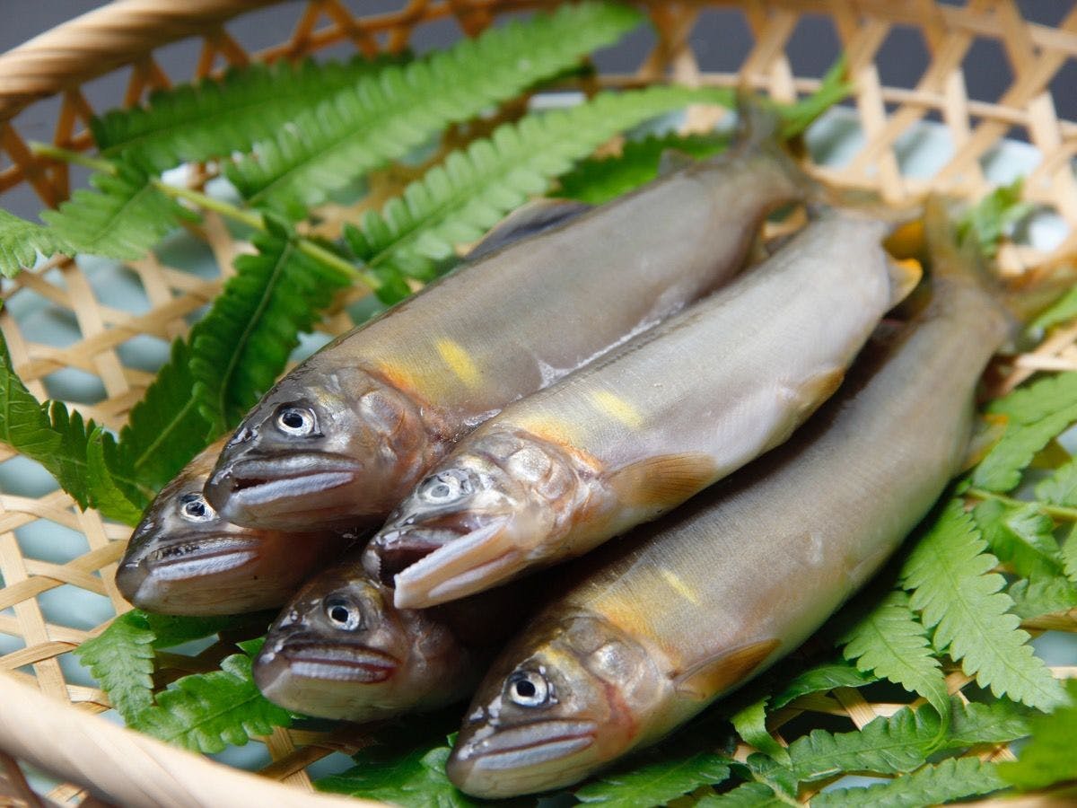 ～7組限定・全室オーシャンビューの美食の宿～　和み庵　空と海