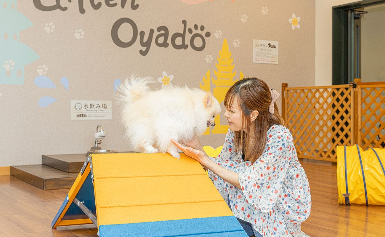愛犬お宿　伊豆高原