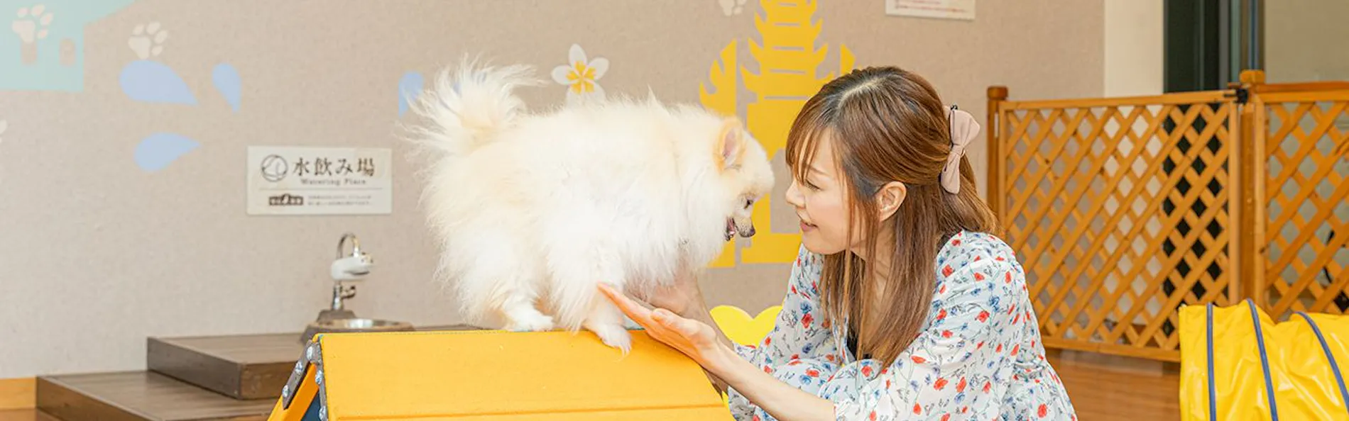 愛犬お宿 伊豆高原