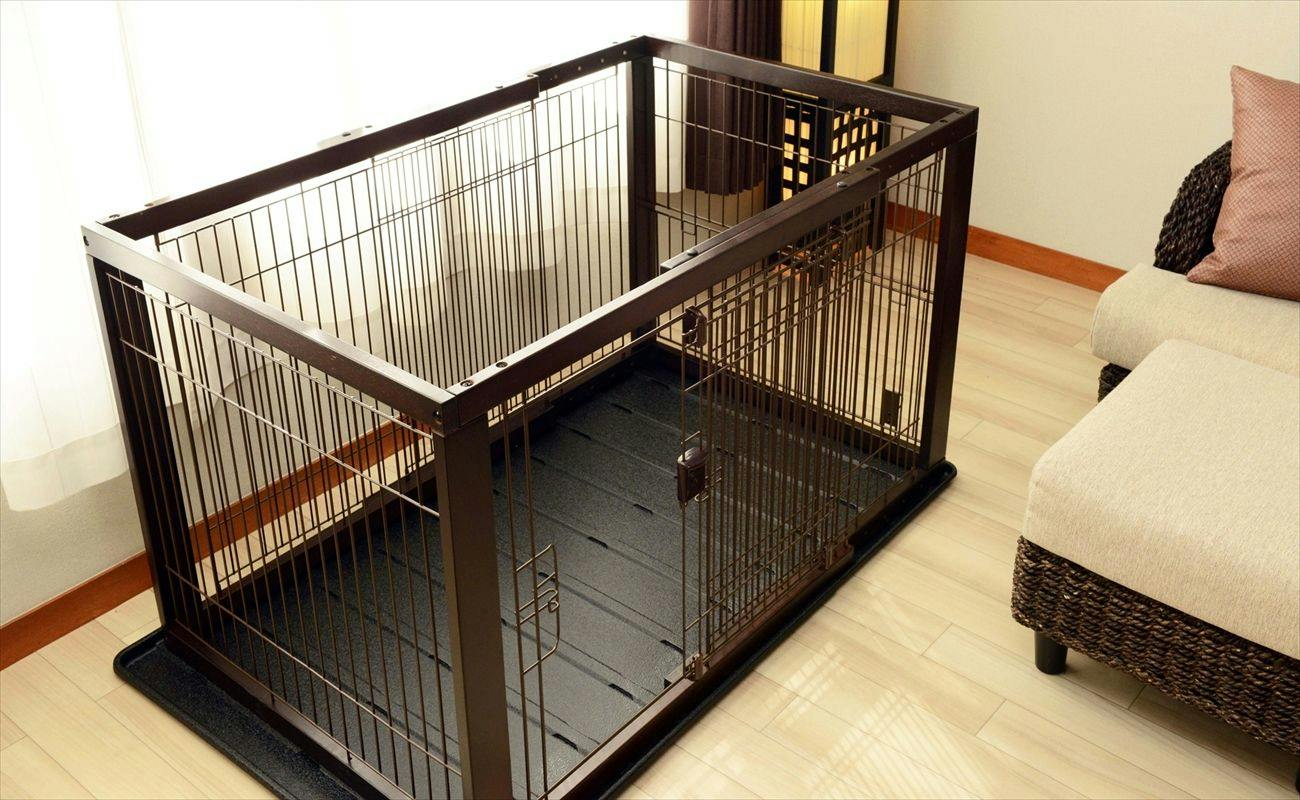 愛犬お宿　伊豆高原