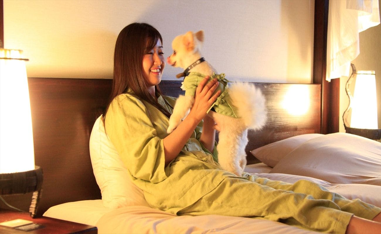 愛犬お宿　伊豆高原