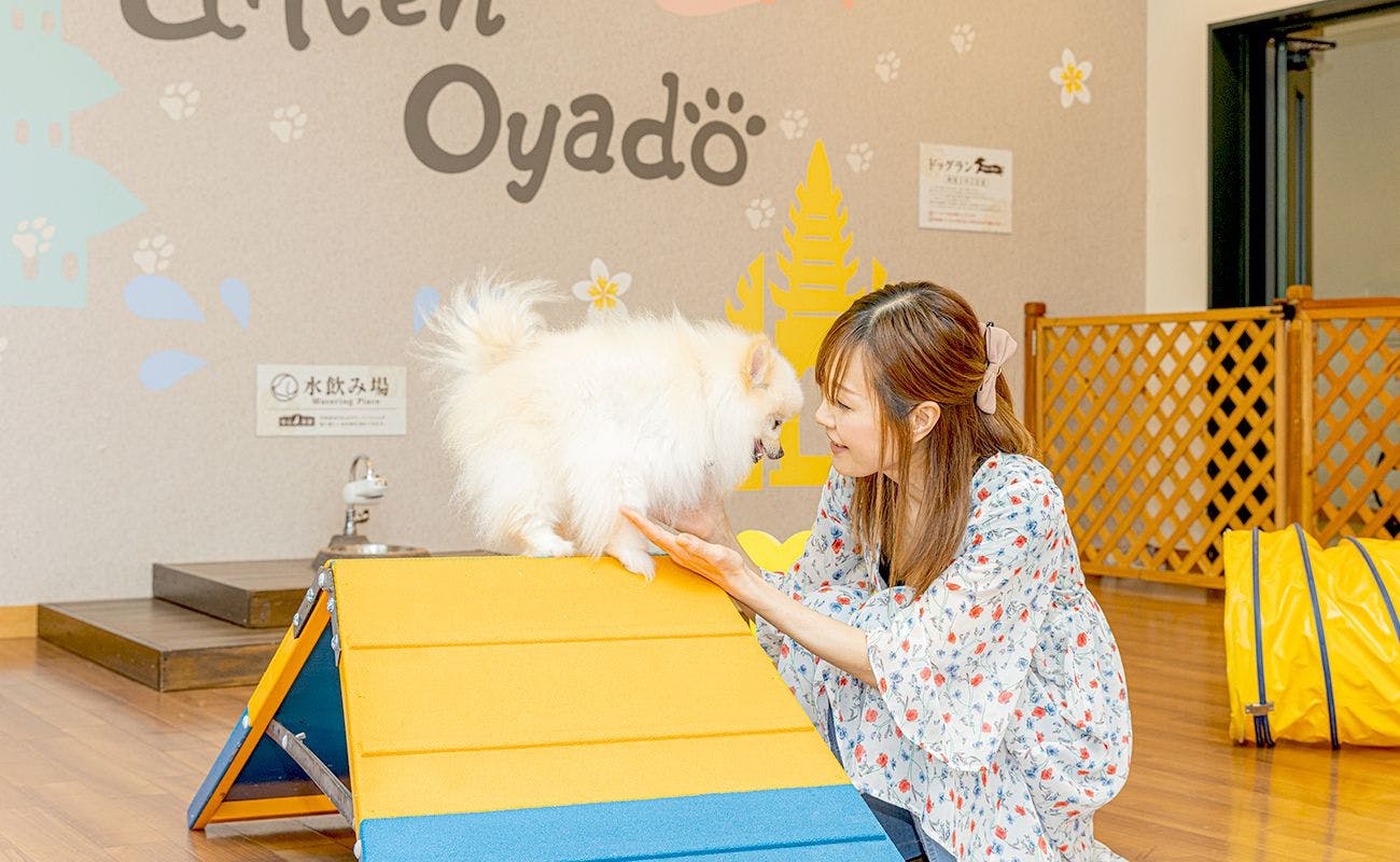 愛犬お宿　伊豆高原