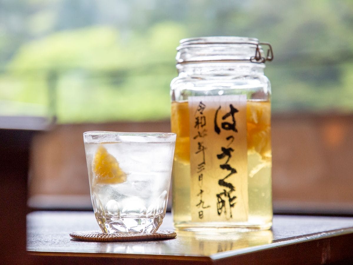 鹿の湯ホテル
