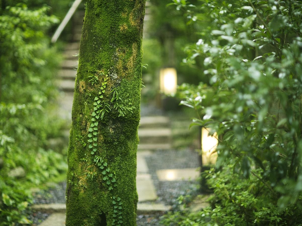 旅館　寿亭
