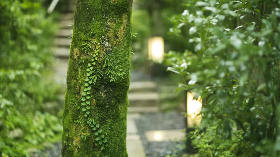 Ryokan Kotobukitei