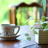 ช่วงเวลาในเลานจ์