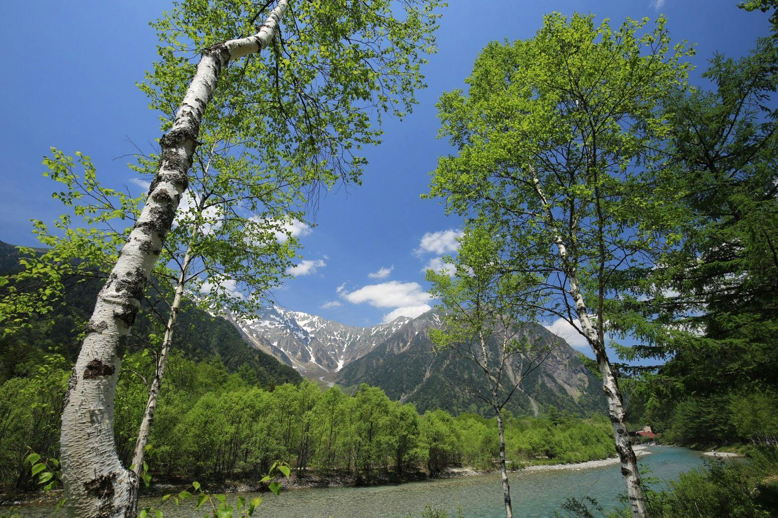 THE PARKLODGE 上高地