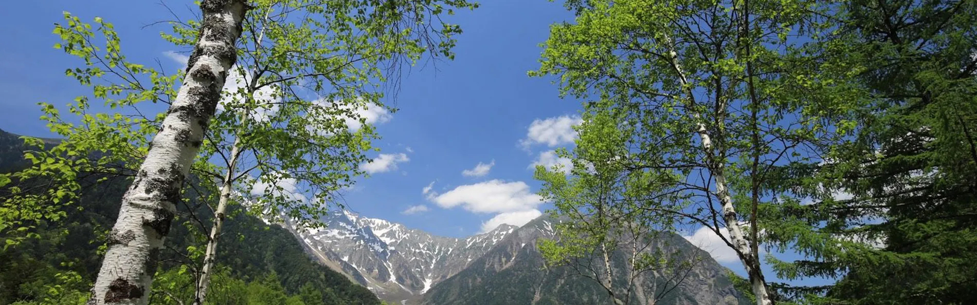 THE PARKLODGE 上高地