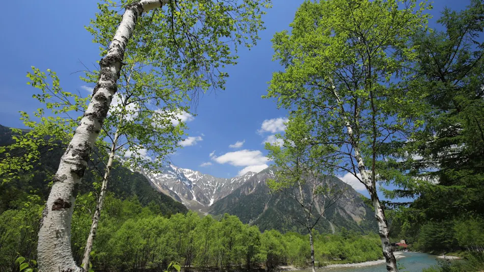 THE PARKLODGE Kamikochi (Formerly Mountain Lodge Gosenjaku Lodge)