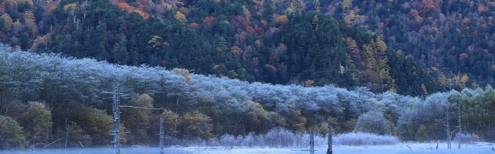THE PARKLODGE 上高地