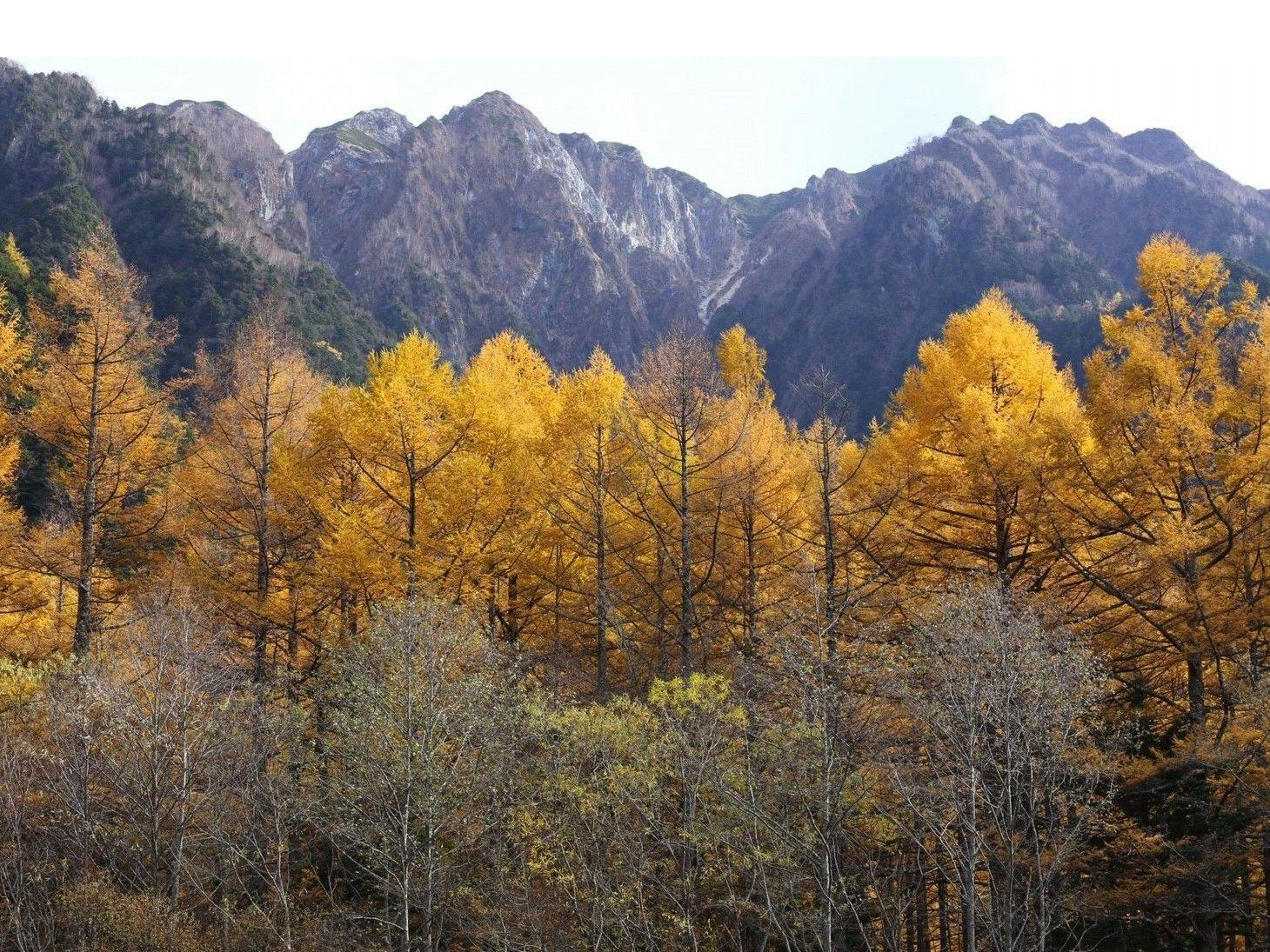 THE PARKLODGE 上高地