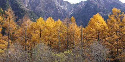 THE PARKLODGE 上高地