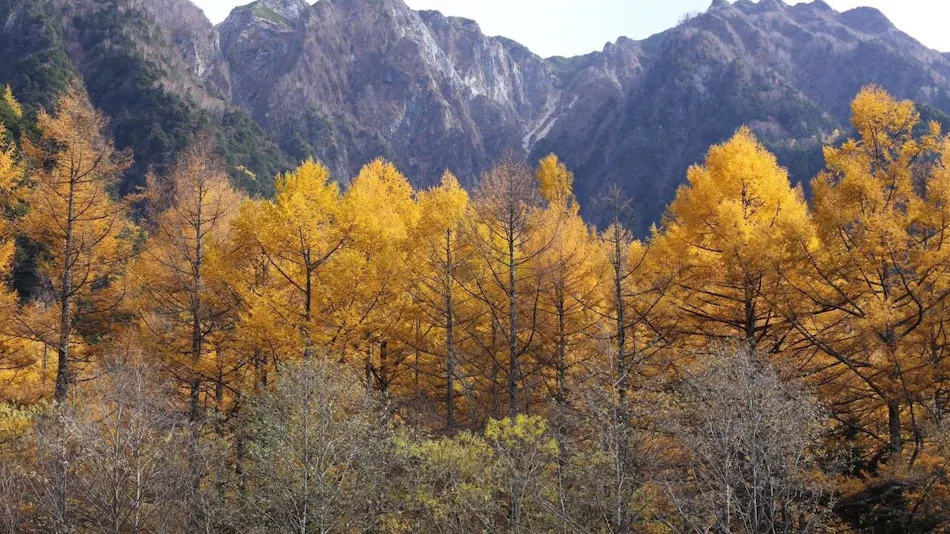 THE PARKLODGE Kamikochi (Formerly Mountain Lodge Gosenjaku Lodge)