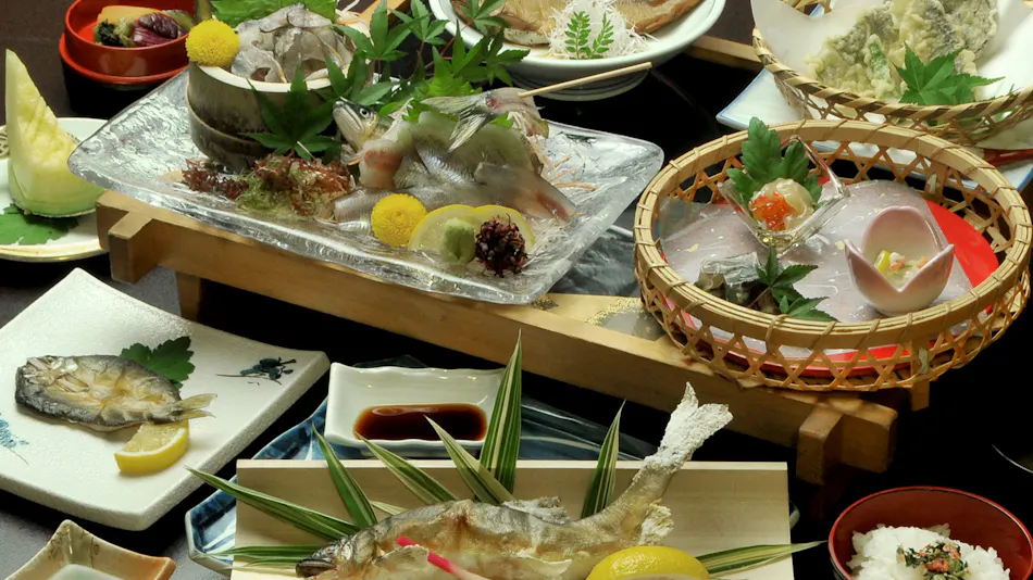 Hitoyoshi Ryokan