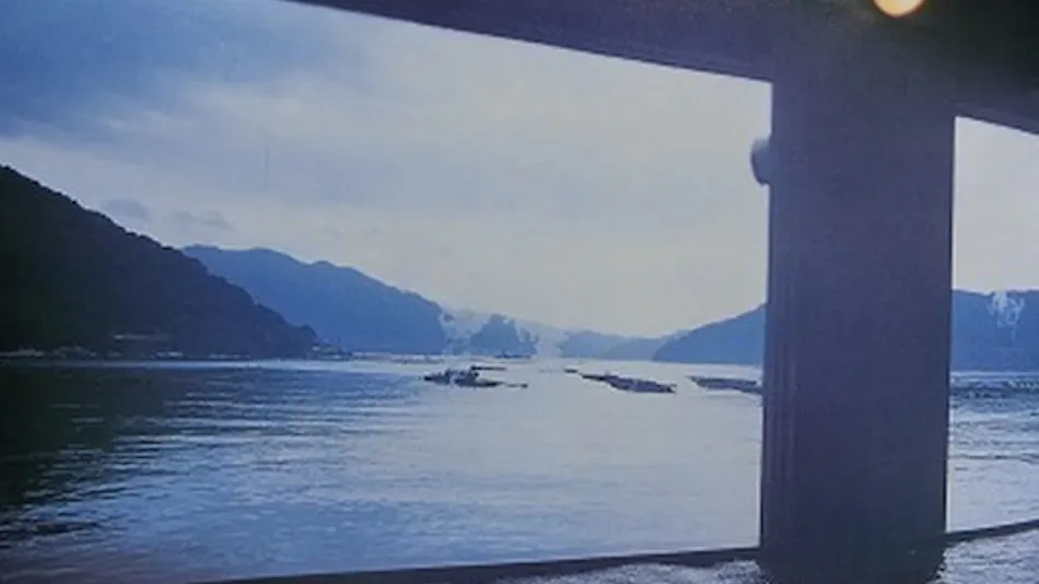 Owase Seaside View
