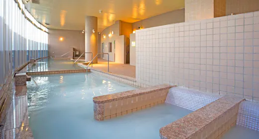 雄大な自然と種類豊富な発酵温浴で、身も心も癒されるウェルネス旅を<素泊り・スパ付>