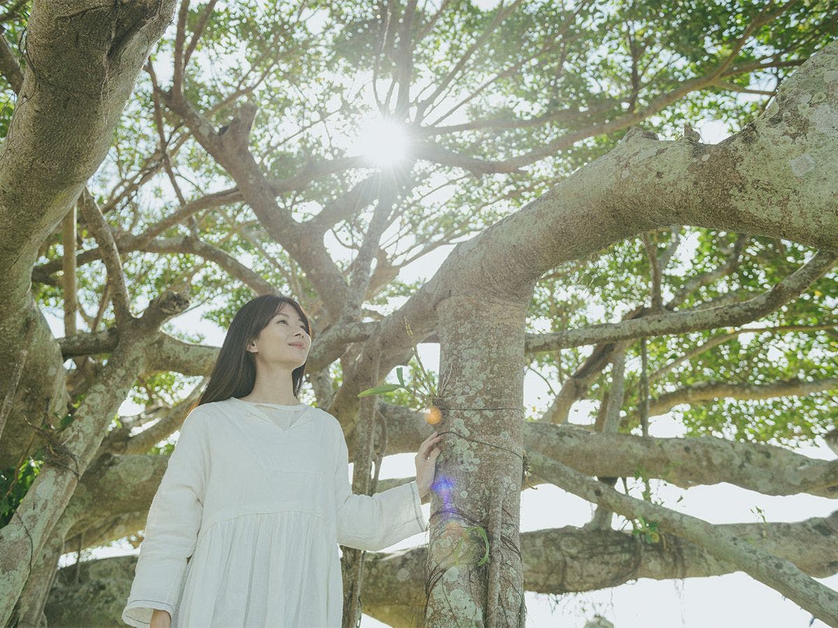 癒しの旅を支える、体にやさしい発酵ビュッフェと芯から温まる豊富な温浴を堪能＜朝食・スパ付＞