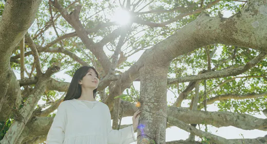 癒しの旅を支える、体にやさしい発酵ビュッフェと芯から温まる豊富な温浴を堪能<朝食・スパ付>