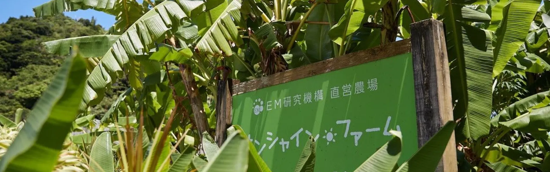 EMウェルネス 暮らしの発酵ライフスタイルリゾート