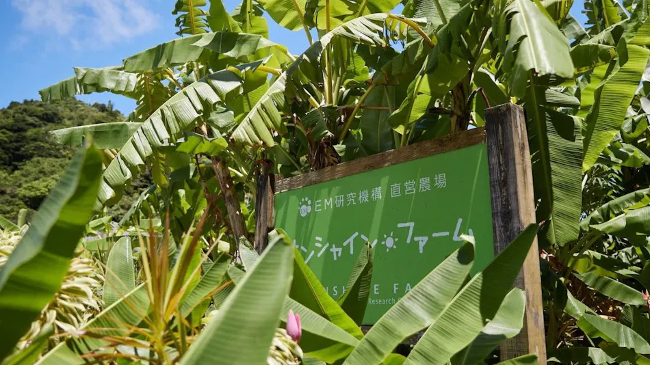 EM Wellness Fermentation Lifestyle Resort