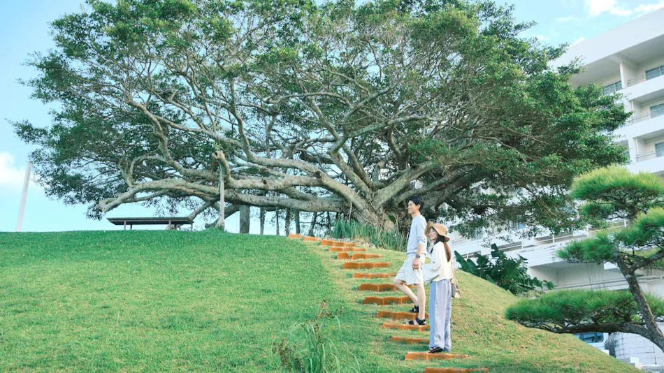 EM Wellness Fermentation Lifestyle Resort