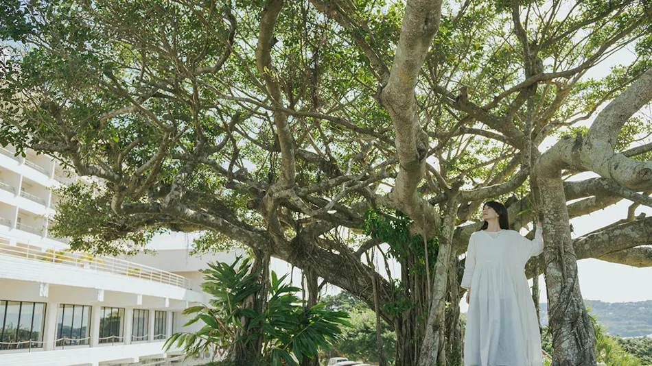 EM Wellness Fermentation Lifestyle Resort