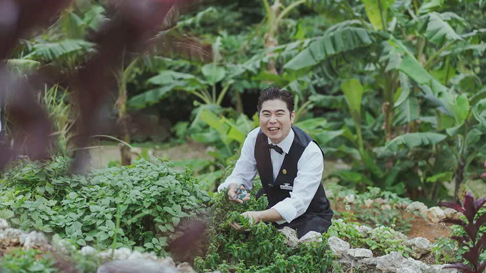 EM Wellness Fermentation Lifestyle Resort