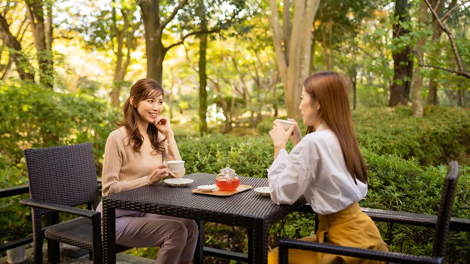 Accommodation Overlooking the Echigo Plain and Yahiko Mountain Range - Hoho -