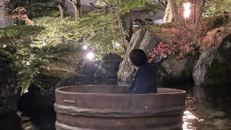 Accommodation Overlooking the Echigo Plain and Yahiko Mountain Range - Hoho -