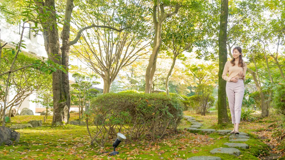 Accommodation Overlooking the Echigo Plain and Yahiko Mountain Range - Hoho -