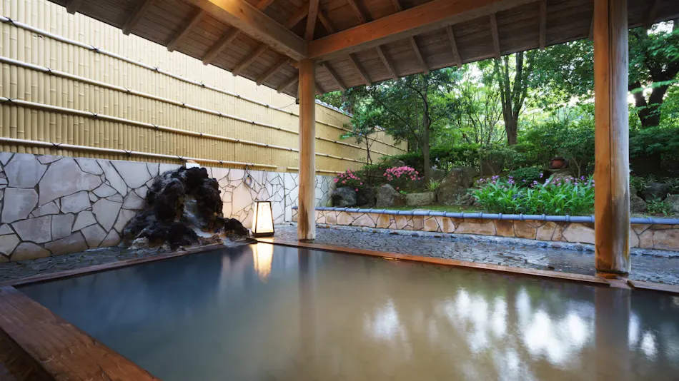 Accommodation Overlooking the Echigo Plain and Yahiko Mountain Range - Hoho -