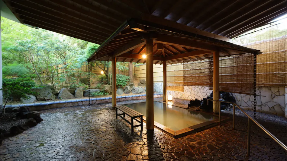 Accommodation Overlooking the Echigo Plain and Yahiko Mountain Range - Hoho -