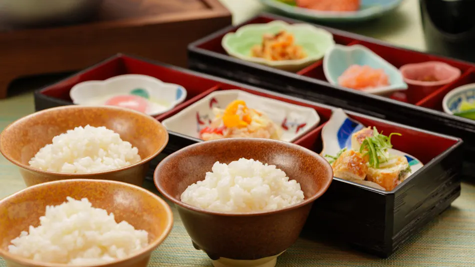 Accommodation Overlooking the Echigo Plain and Yahiko Mountain Range - Hoho -