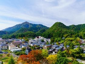 越後平野と弥彦連山一望の宿 穂々 ?hoho?(旧:ほてる大橋館の湯)